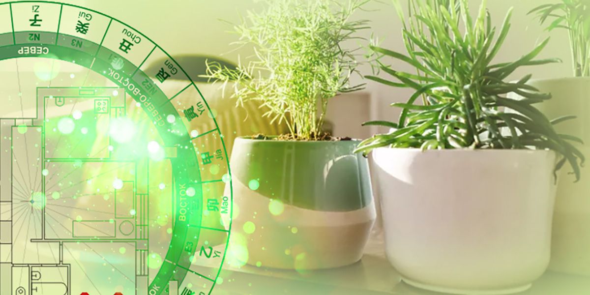 Делаем свою квартиру по всем правилам фен-шуй!